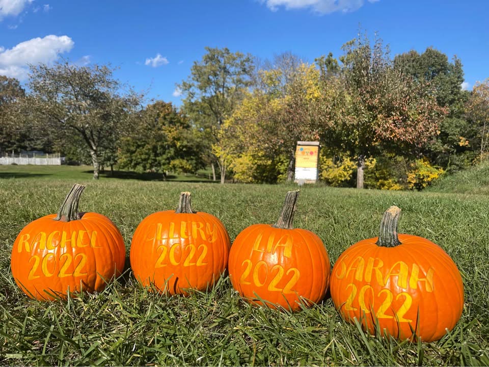 Four pumpkins in a row, each engraved with a name and the year 2022