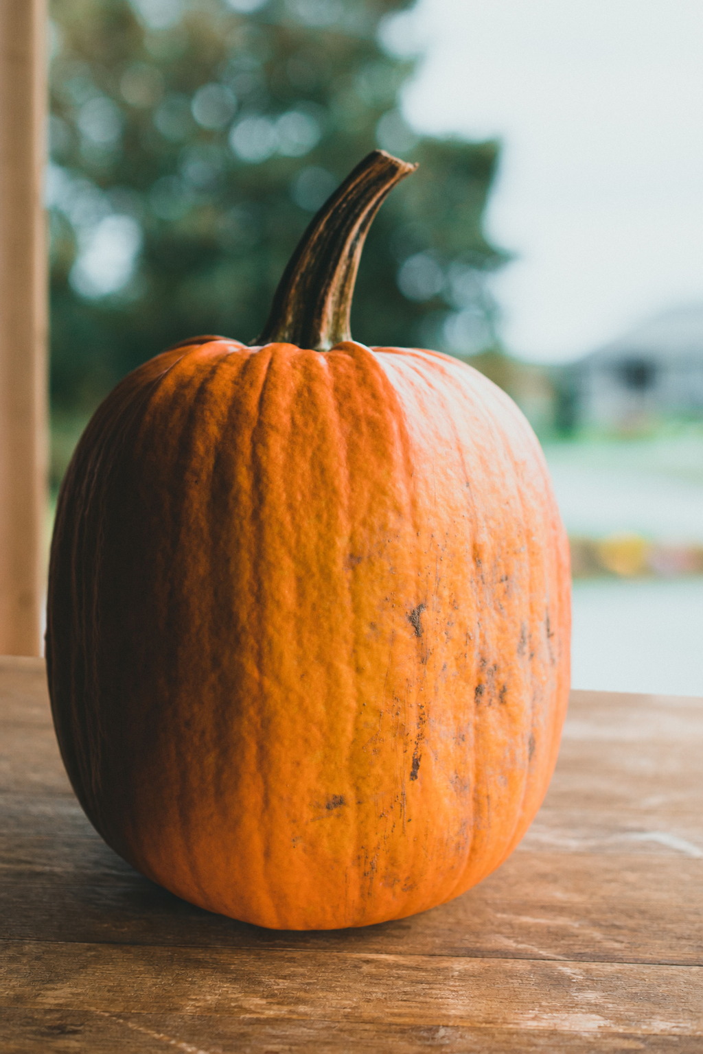 Your logo on a pumpkin
