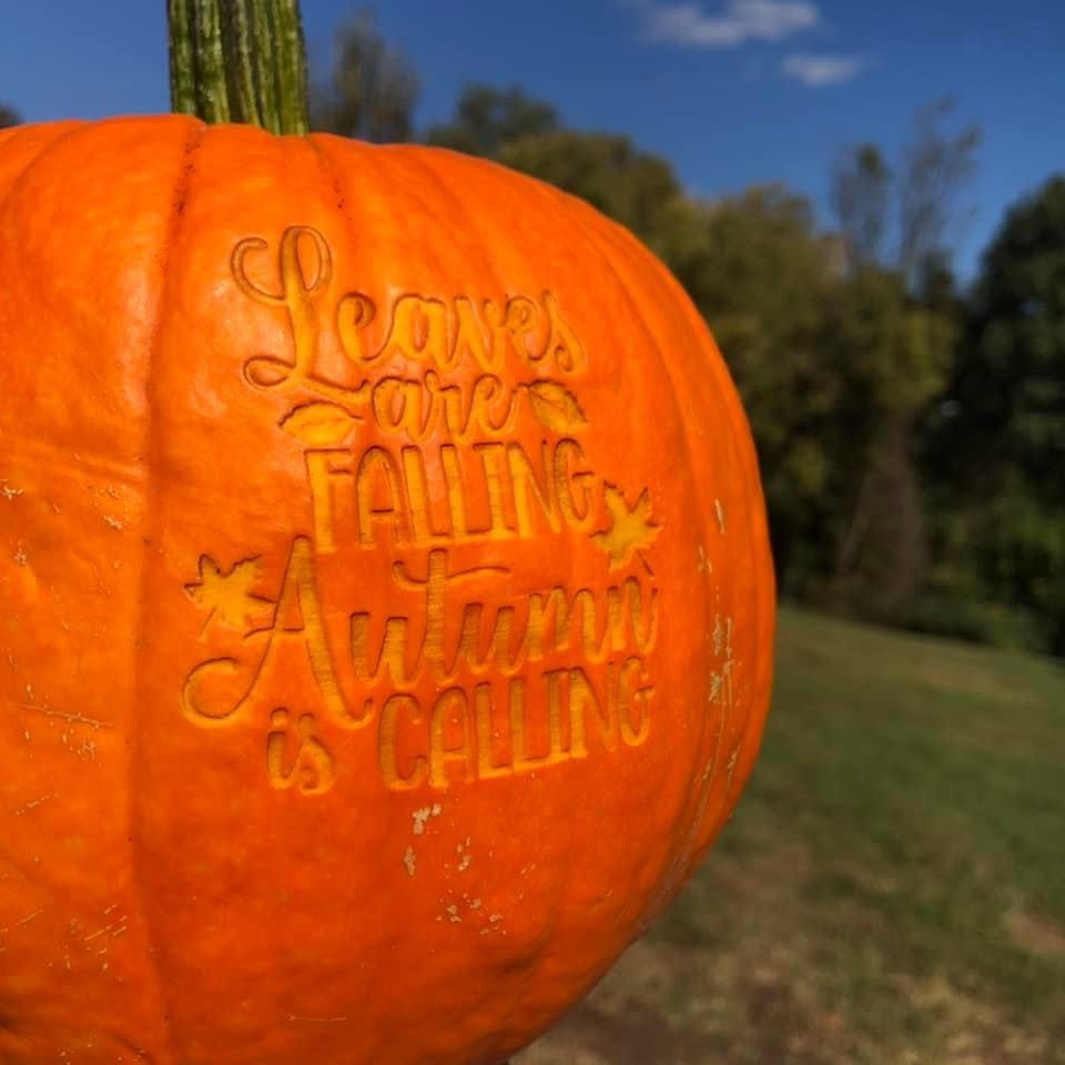 A pumpkin laser-engraved with Leaves are Falling, Autumn is Calling