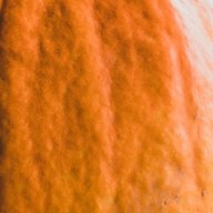 The skin of a classic orange pumpkin